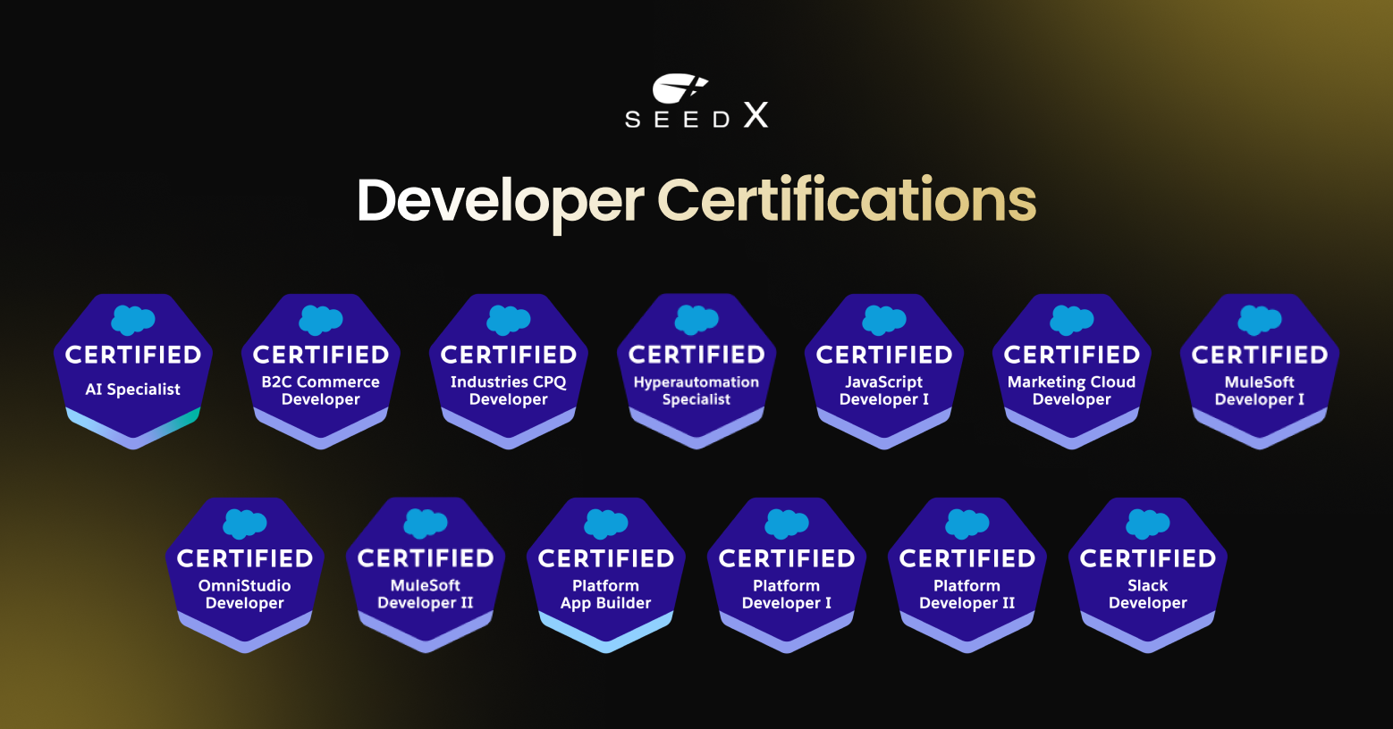 Salesforce Developer Certifications