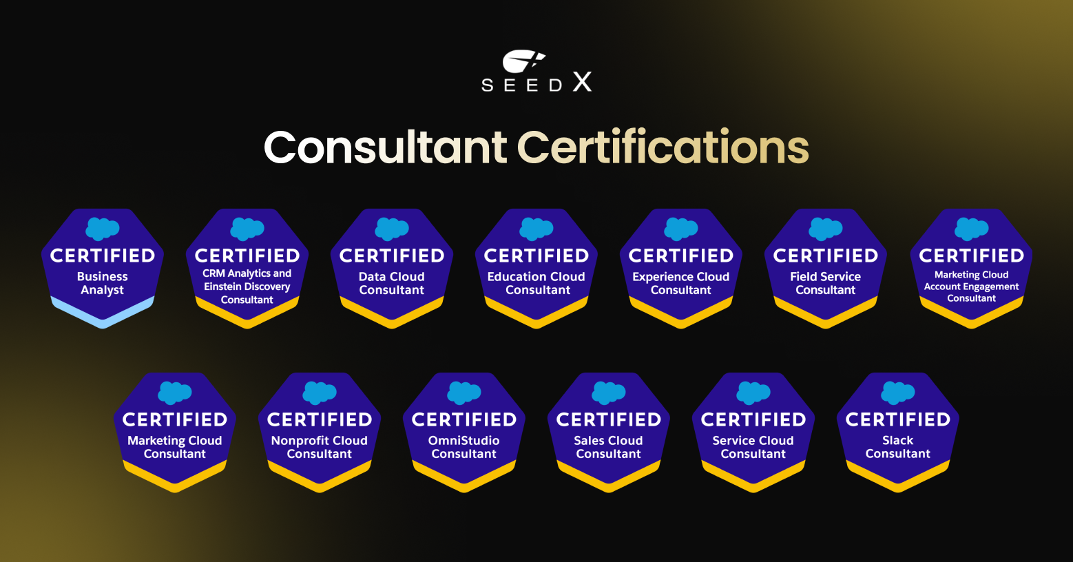 Salesforce Consultant Certifications